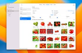 ML Plant Image Classifier